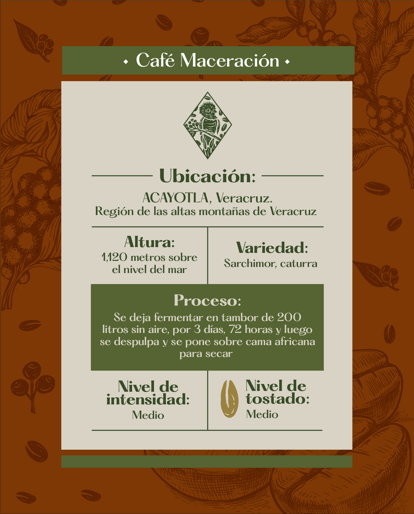 Cafe Maceración